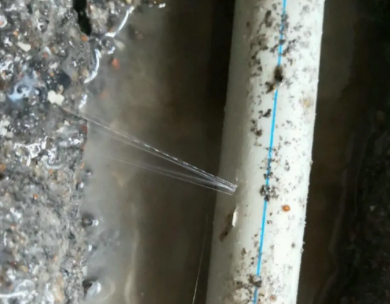 景县测漏水哪家好