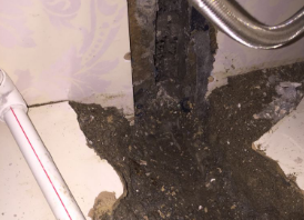 景县卫生间测漏水哪家好