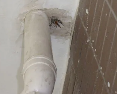 景县漏水检测哪家好